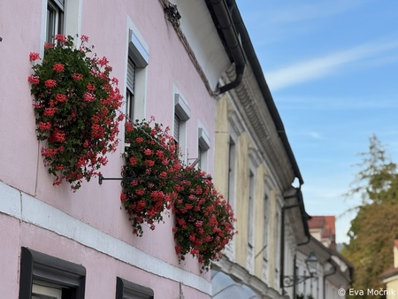 Skriti vrtovi Šutne odprli svoja vrata (8)